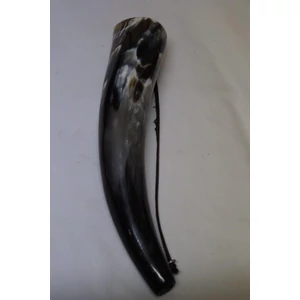 Ochsenhorn 30-35 cm 