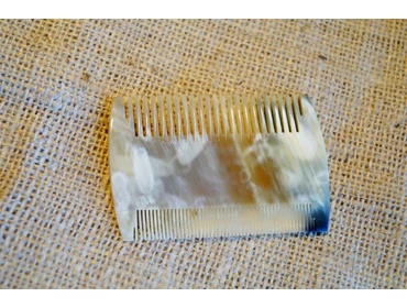 Rövid szőrű kutyák